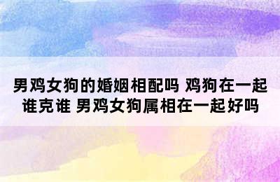 男鸡女狗的婚姻相配吗 鸡狗在一起谁克谁 男鸡女狗属相在一起好吗